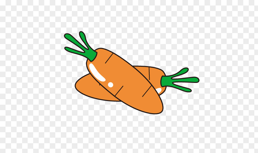 Vector Carrot Euclidean Clip Art PNG