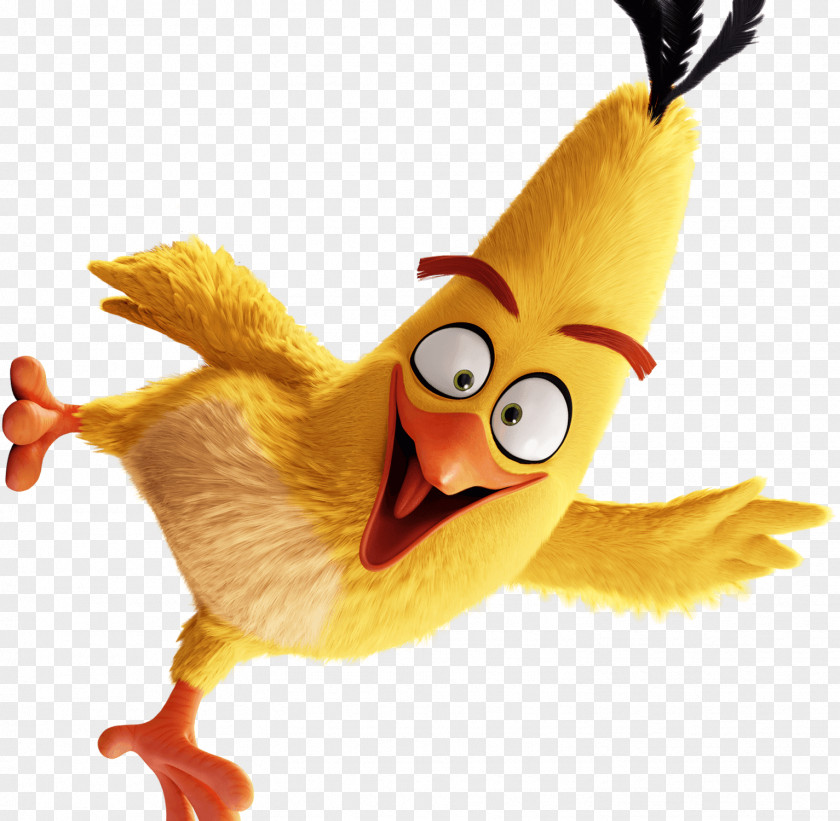 Angry YouTube Film Birds Evolution Go! Animation PNG