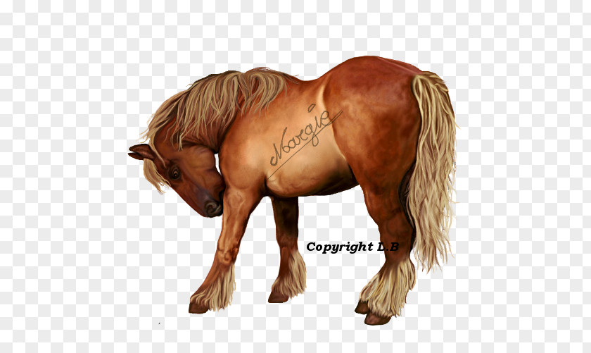 Cocker Spaniel Mustang Stallion Mare Halter Freikörperkultur PNG