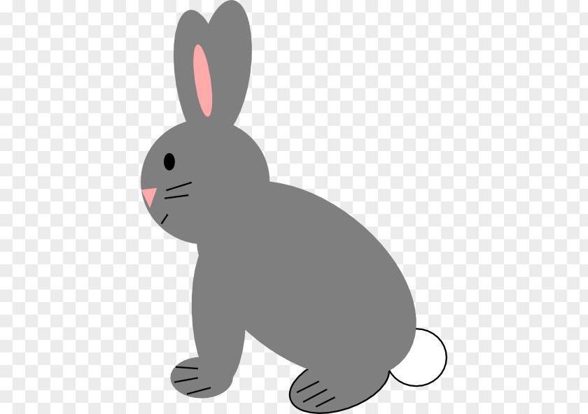 Gray Rabbit Domestic Hare White Clip Art PNG