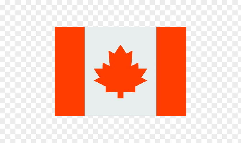 Maple Logo Canada Leaf PNG