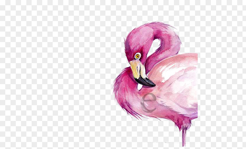 Watercolor Flamingo Painting Drawing PNG