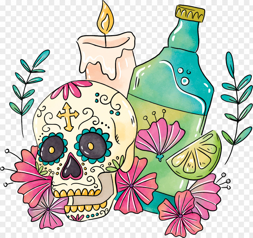 Coloring Book Plant Bottle PNG