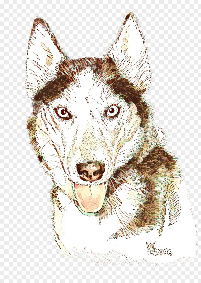 Dog Head Drawing Working PNG