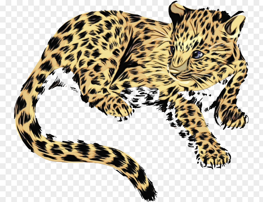 Fur Ocelot Cats Cartoon PNG