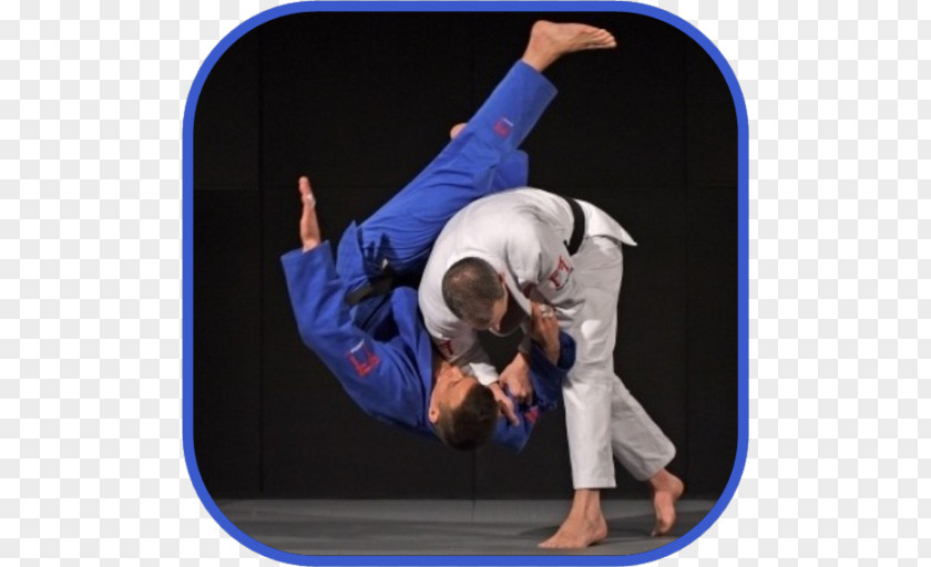 Mixed Martial Arts Brazilian Jiu-jitsu Taekwondo Judo PNG