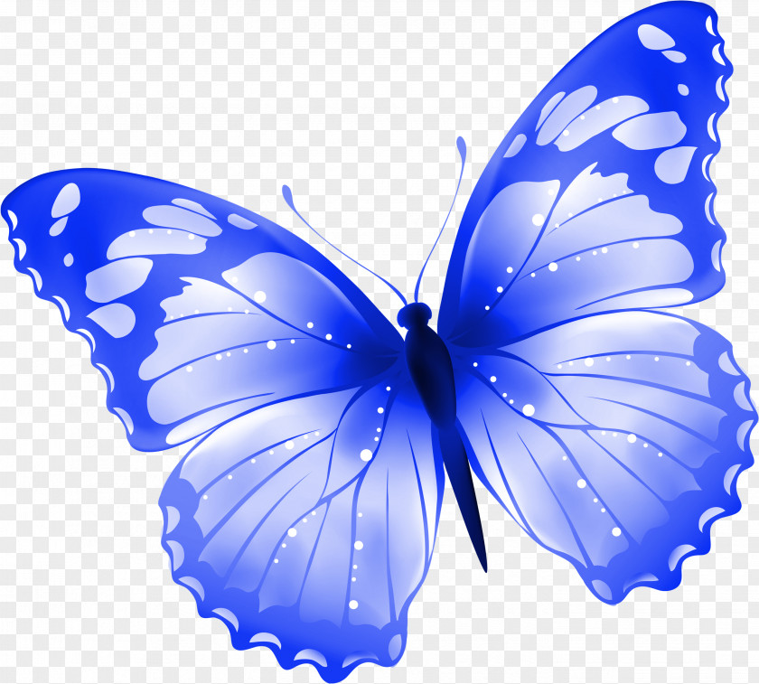 Butterflies Butterfly Sticker Insect Wing White Clip Art PNG