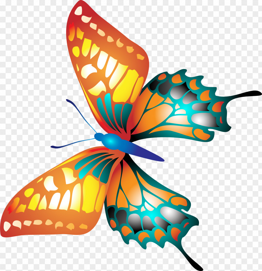Butterfly Insect Animation Pollinator Clip Art PNG