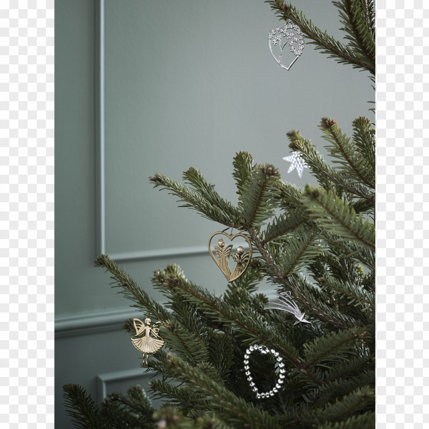 Christmas Tree Writer Spruce Ornament PNG