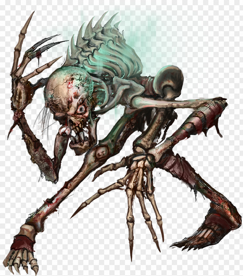 Ghoul Dungeons & Dragons Skeleton Wiki PNG