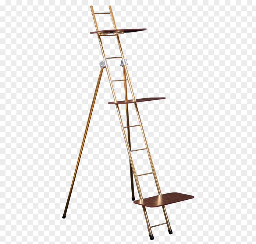Ladders Holland Supply, Inc. Ladder Anodizing Wood PNG