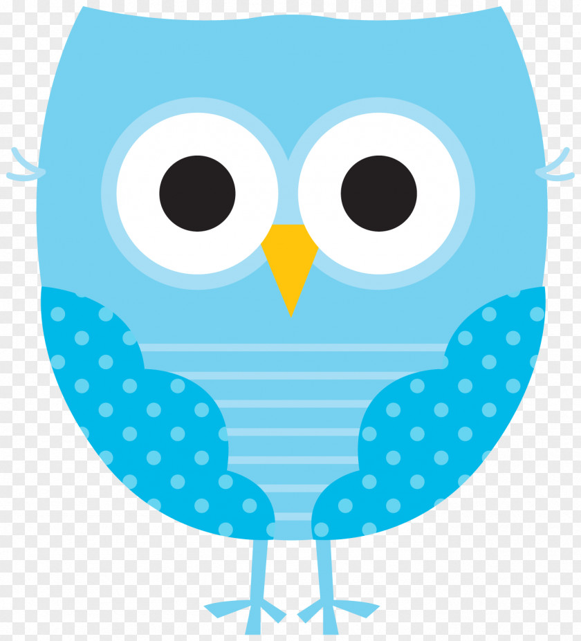 Owl Little Clip Art Bird Image PNG