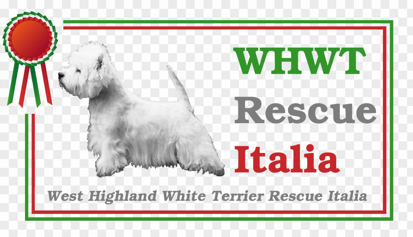 Puppy West Highland White Terrier Dog Breed Parson Russell Jack PNG