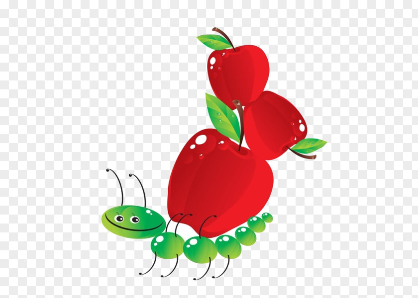 Cartoon Apple Bugs Stock Photography Illustration Royalty-free Clip Art PNG