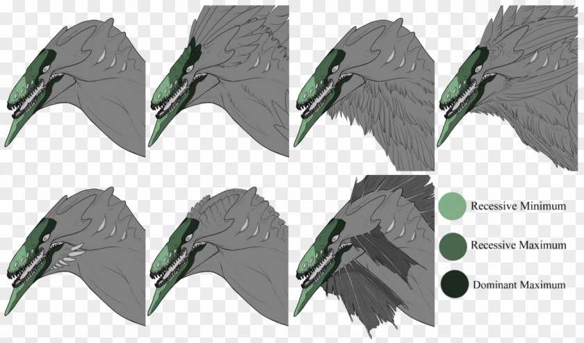 Feather Beak Fauna PNG