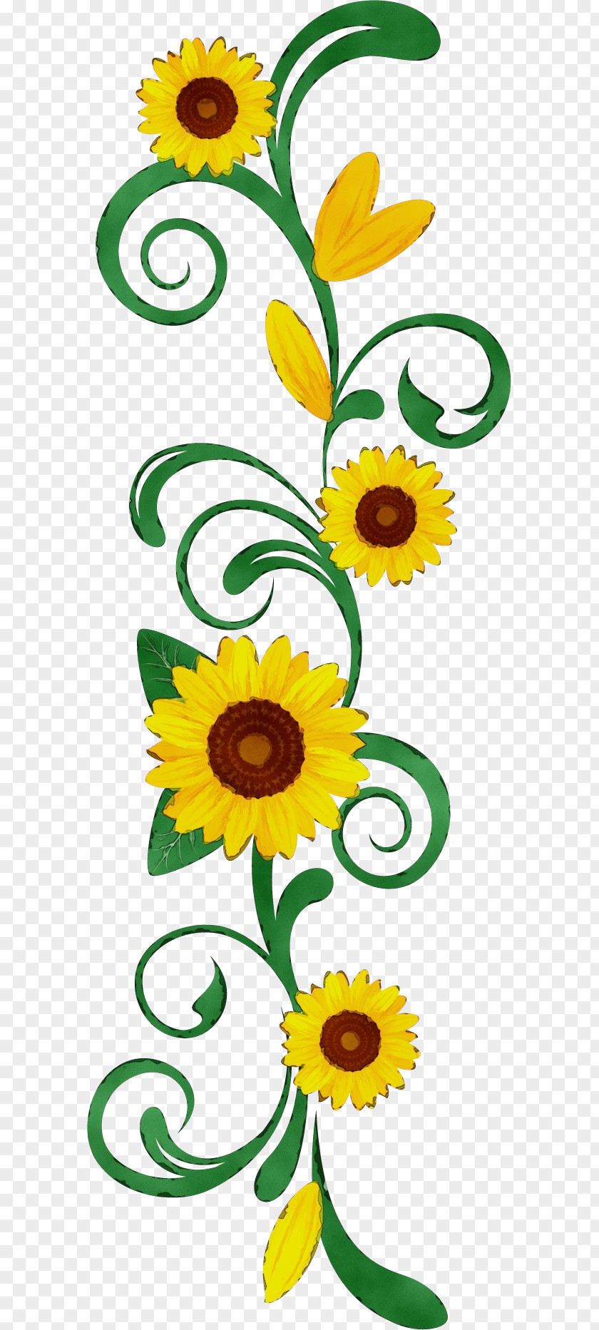 Sunflower PNG