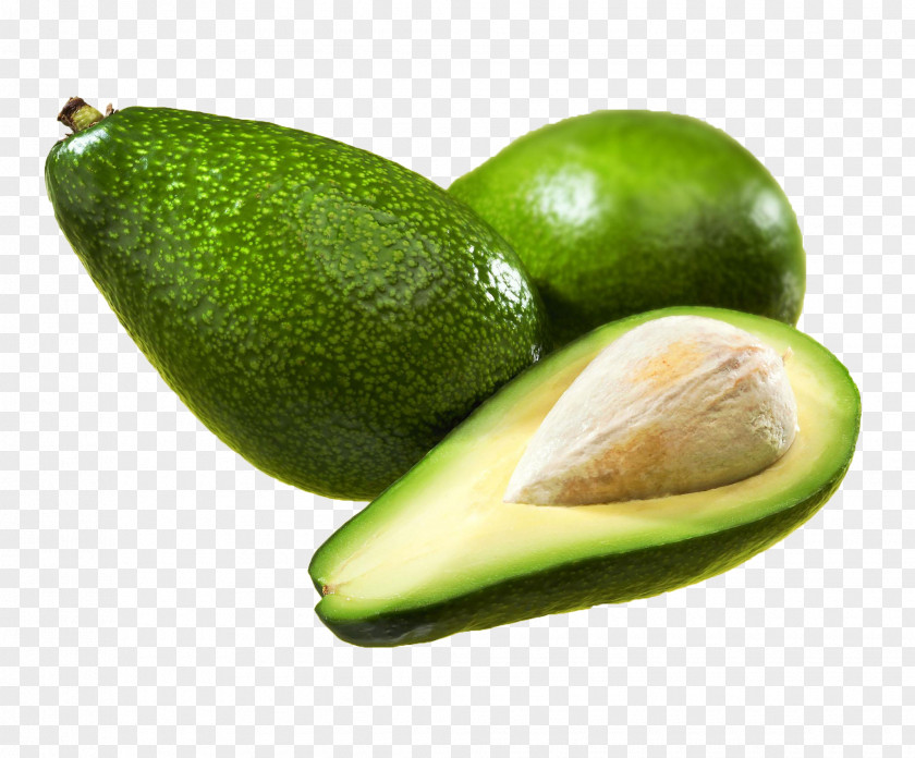 Avocado Fruit Icon PNG