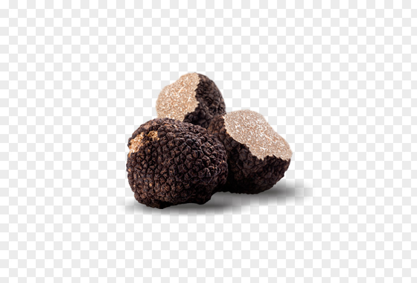 Seasoning Périgord Black Truffle Tuber Uncinatum Gastronomy PNG