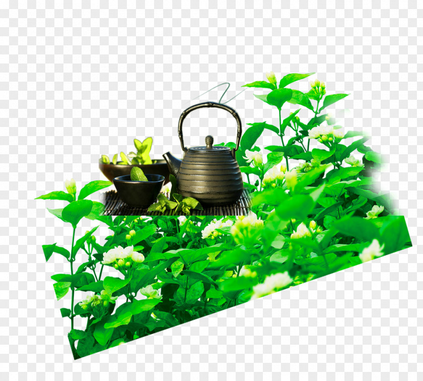 Teapot,tea Teapot PNG
