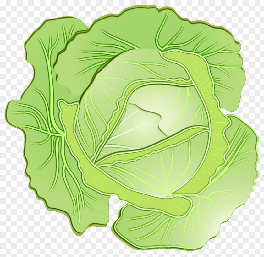 Brassica Flower Green Leaf Background PNG