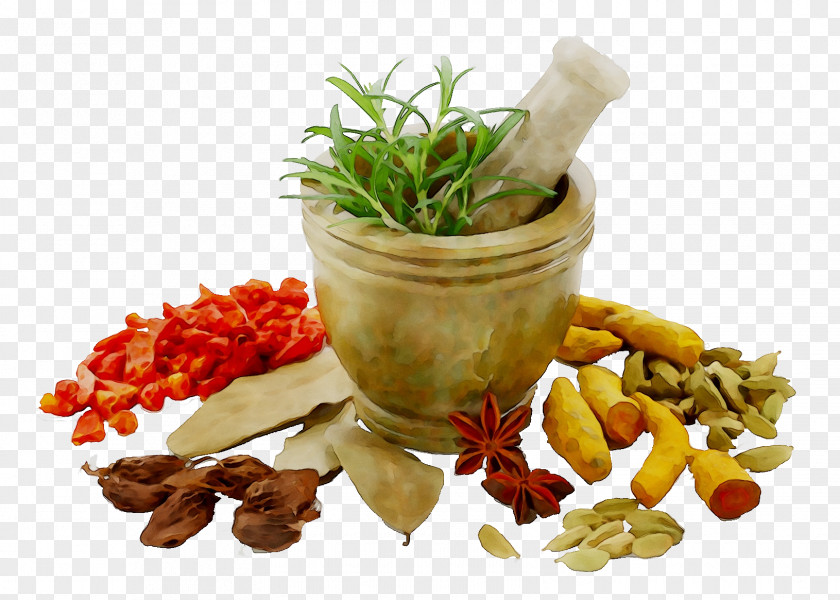 Herbalism Extract Ayurveda Health PNG