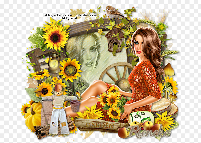 Sunflower Garden Floral Design Cut Flowers Common Flower Bouquet PNG