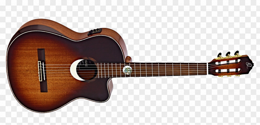Amancio Ortega Steel-string Acoustic Guitar Acoustic-electric Tanglewood Guitars PNG