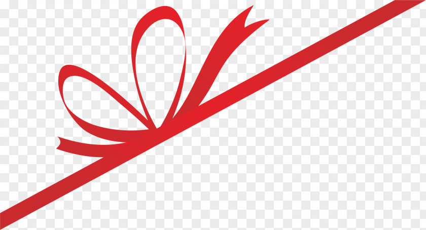 Bow Red Shoelace Knot PNG