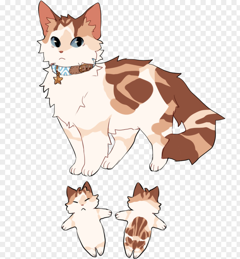 Kitten Whiskers Red Fox Dog Breed Cat PNG