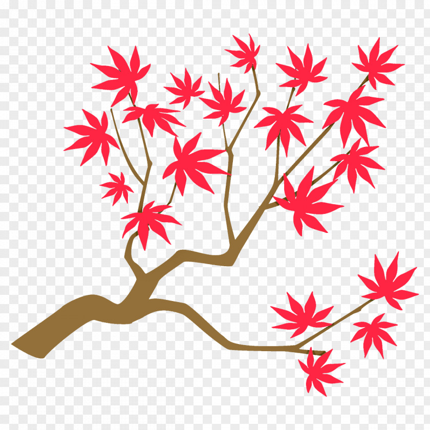 Maple Branch Leaves Autumn Tree PNG