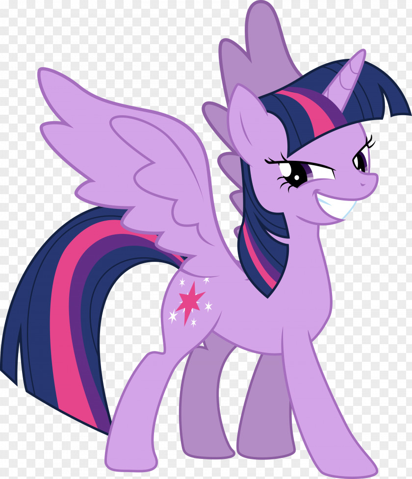 Princess Twilight Sparkle Part 2 Pony Spike Horse DeviantArt PNG