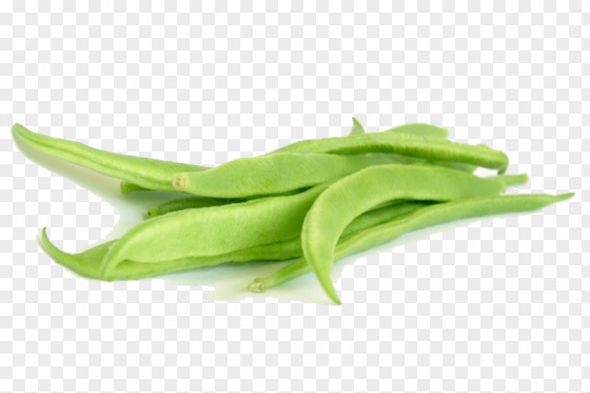 Vegetable Snap Pea Green Bean Flat PNG