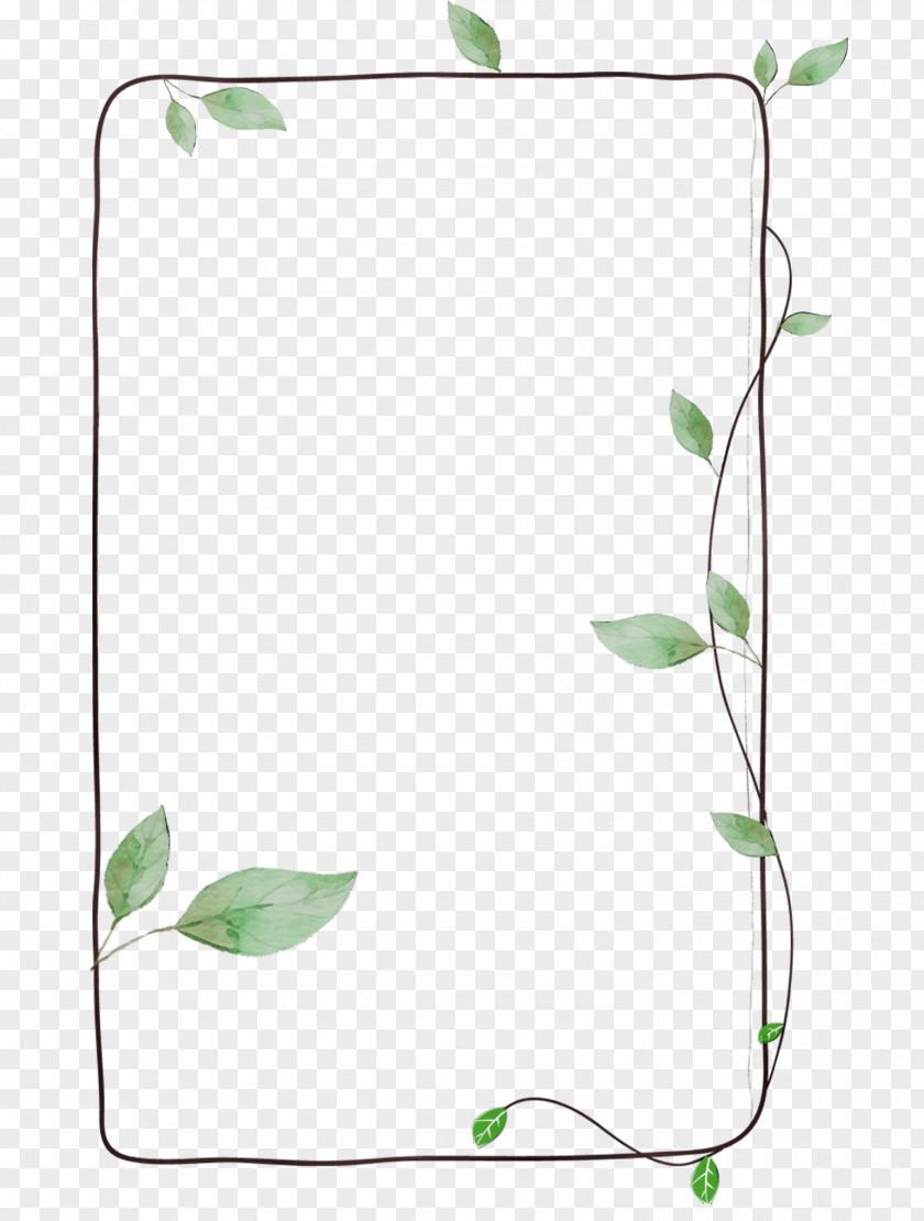 Wildflower Morning Glory Ivy PNG