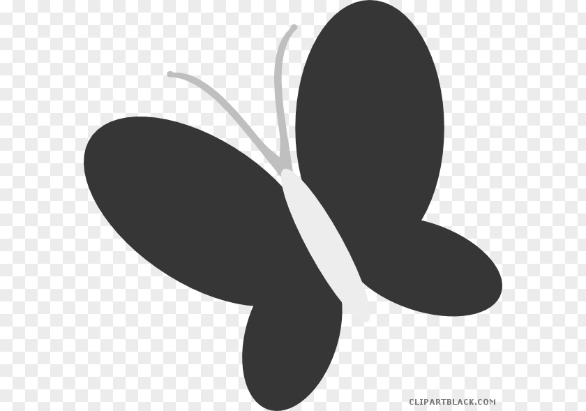 Butterfly Clip Art Openclipart Cartoon Drawing PNG