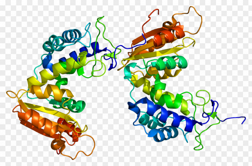 CD38 Multiple Myeloma Pharmaceutical Drug Cell Therapy PNG