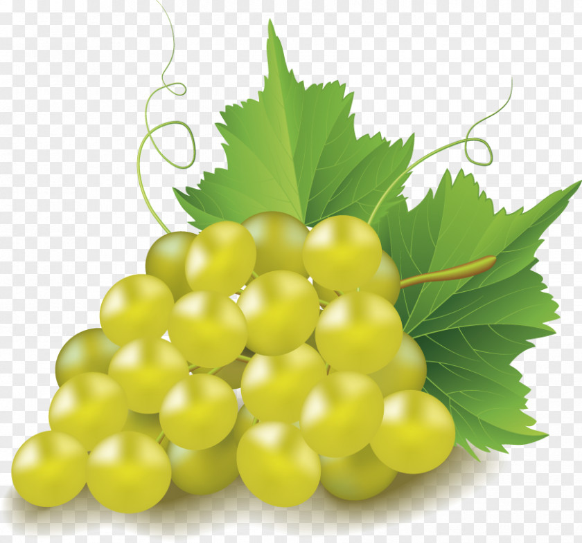 Grape Clip Art PNG