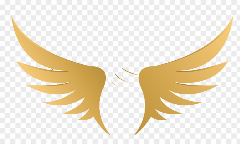 Vector Wings Yellow Illustration PNG