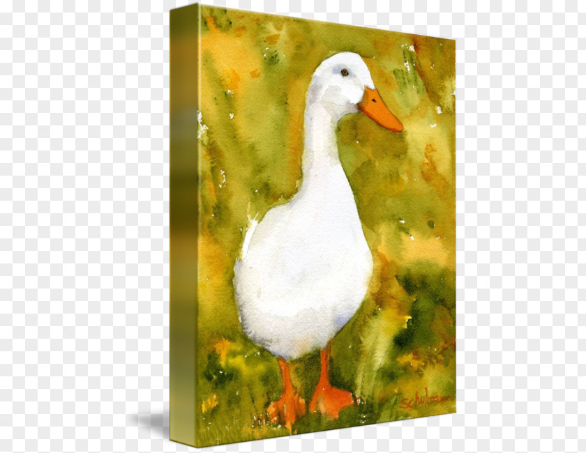 Watercolor Painting Duck Goose American Pekin German PNG