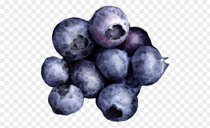 Blueberry Bilberry Huckleberry Juniper Berry Superfood PNG