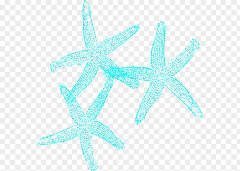 Coral Starfish Turquoise Clip Art PNG