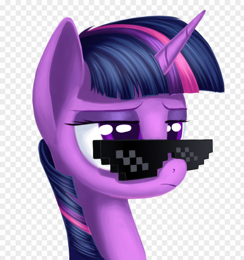 Deal With It Twilight Sparkle Rainbow Dash Rarity My Little Pony PNG