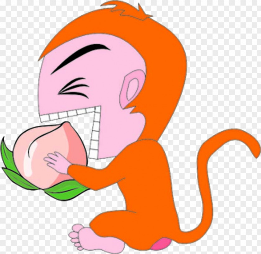 Monkeys Eat Peach Monkey Auglis Eating PNG