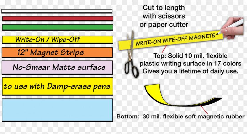 Strips Board Document Line Angle Learning Brand PNG