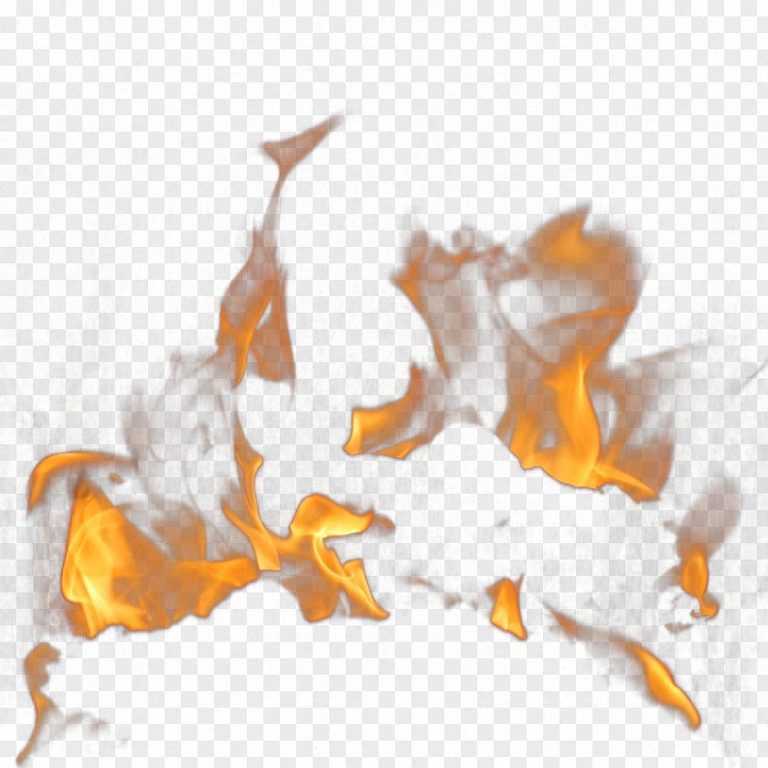 Cartoon Flame Light Fire Wallpaper PNG