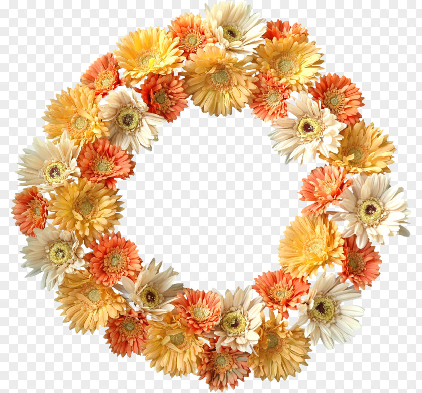 Flower Floral Design Wreath Transvaal Daisy Cut Flowers PNG