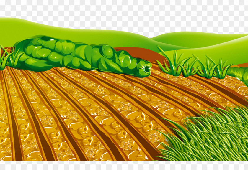 Hand Painted Field Arable Land PNG