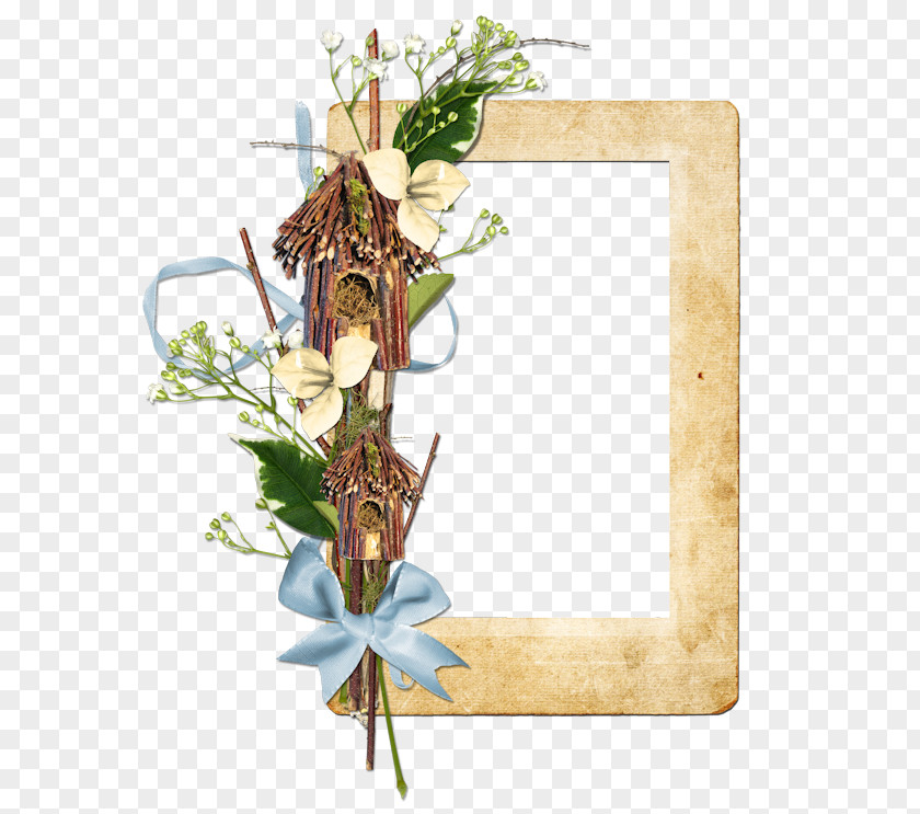 Picture Frames Floral Design Clip Art PNG