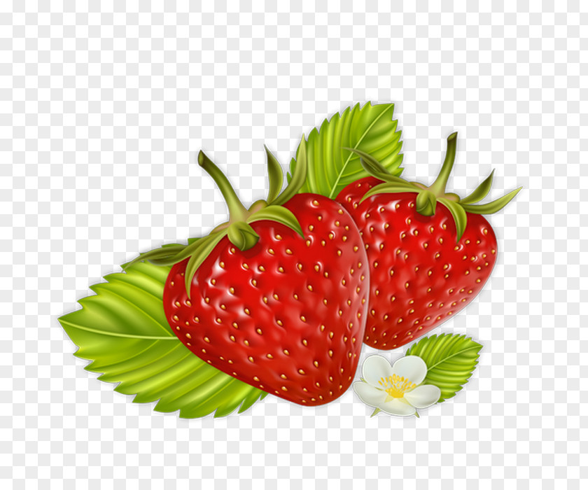 Summer Fruits Psd Vector Graphics Clip Art Strawberry PNG