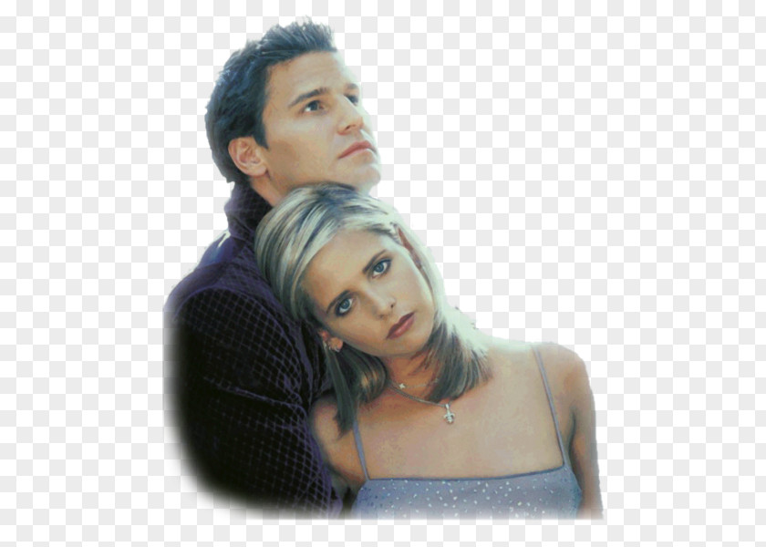 Tube Sarah Michelle Gellar Buffy The Vampire Slayer Summers Angel Joss Whedon PNG