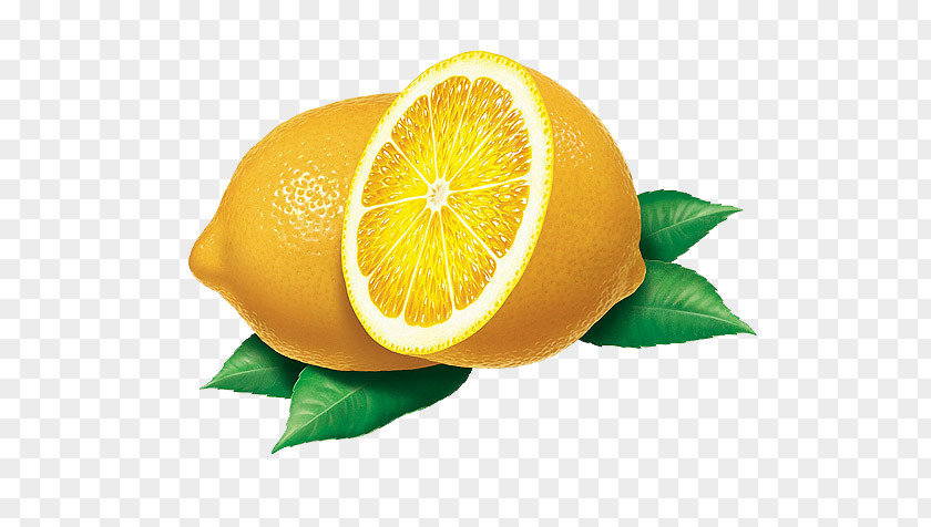 Ultra-clear Painted Lemon Lemon-lime Drink Tangelo Eating PNG